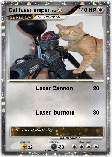 Pokemon Cat laser sniper