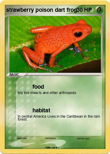 Pokemon strawberry poison dart frog.