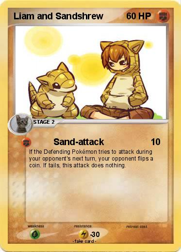 Pokemon Liam and Sandshrew