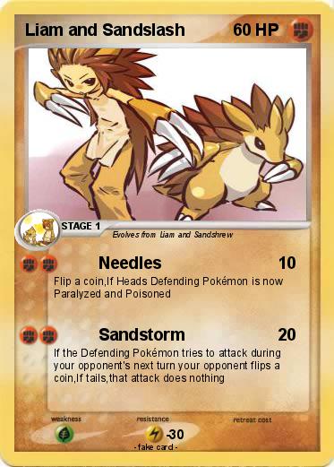 Pokemon Liam and Sandslash