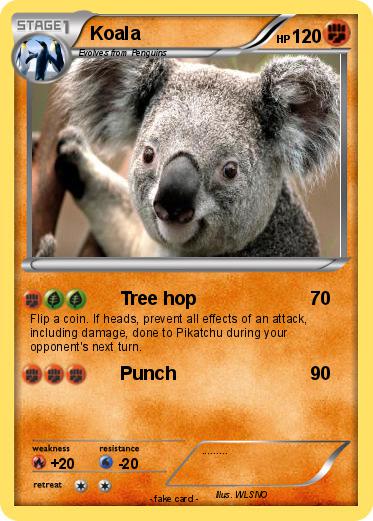 Pokemon Koala