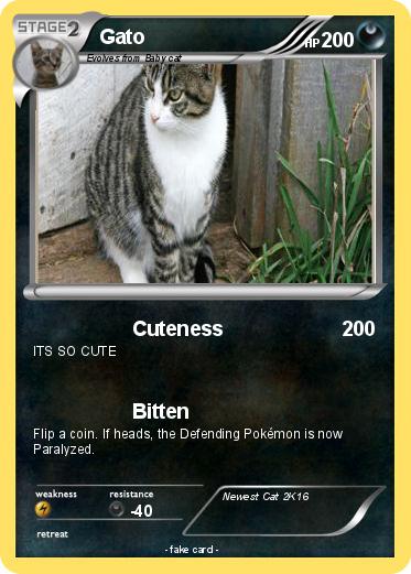 Pokemon Gato