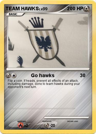 Pokemon TEAM HAWKS
