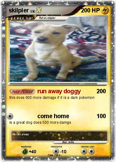 Pokemon skilpler