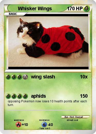 Pokemon Whisker Wings