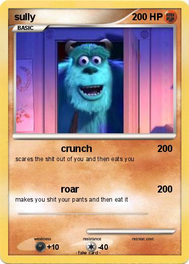 Pokemon sully