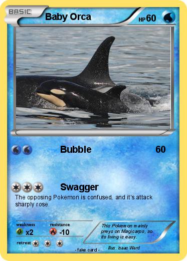 Pokemon Baby Orca