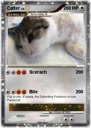 Pokemon Catter