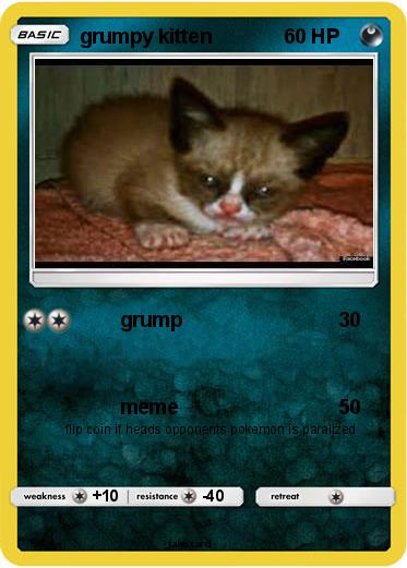 Pokemon grumpy kitten
