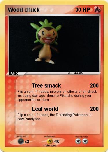 Pokemon Wood chuck