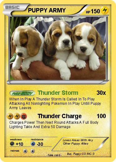 Pokemon PUPPY ARMY