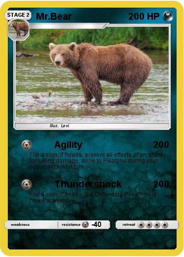 Pokemon Mr.Bear