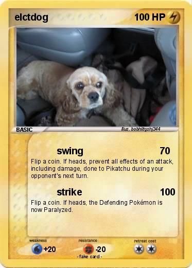 Pokemon elctdog