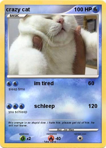 Pokemon crazy cat