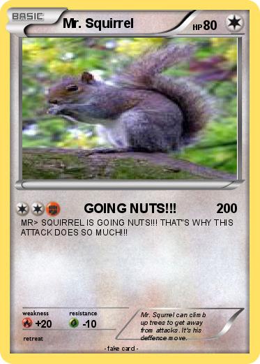 Pokemon Mr. Squirrel