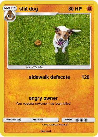 Pokemon shit dog