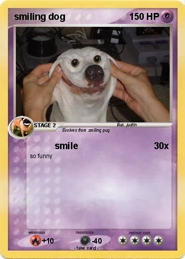 Pokemon smiling dog
