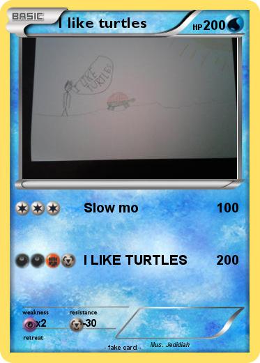 Pokemon I like turtles