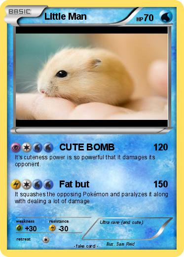 Pokemon LIttle Man