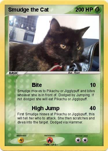 Pokemon Smudge the Cat