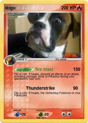 Pokemon dogo