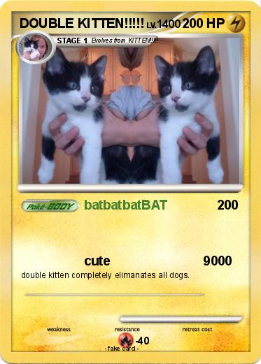 Pokemon DOUBLE KITTEN!!!!!