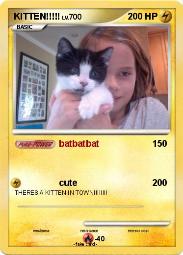 Pokemon KITTEN!!!!!