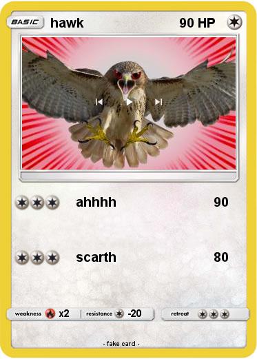 Pokemon hawk