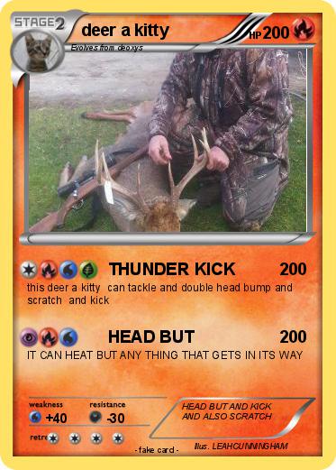 Pokemon deer a kitty