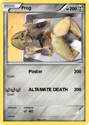 Pokemon Frog