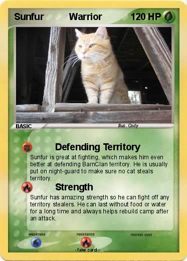 Pokemon Sunfur          Warrior