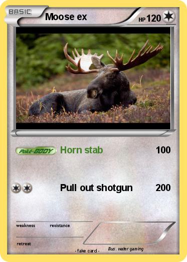 Pokemon Moose ex