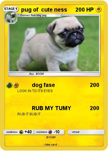 Pokemon pug of  cute ness