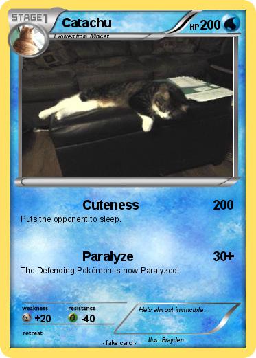 Pokemon Catachu