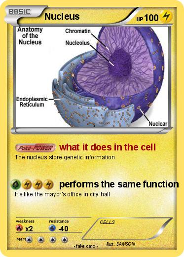 Pokemon Nucleus