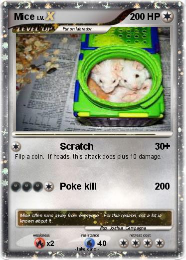 Pokemon Mice