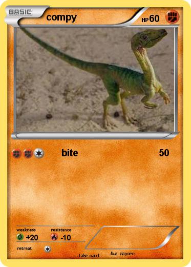 Pokemon compy