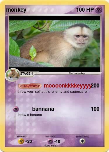Pokemon monkey