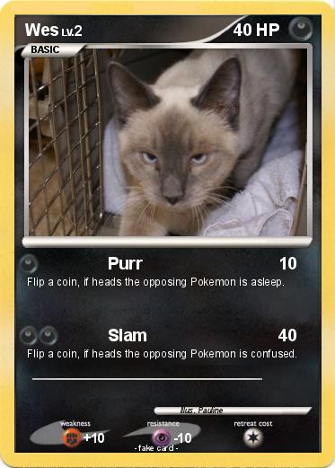 Pokemon Wes