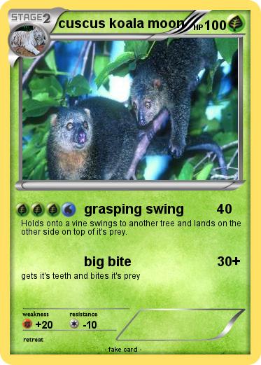 Pokemon cuscus koala moon
