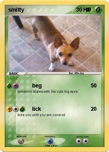 Pokemon smitty                                         10
