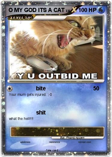 Pokemon O MY GOD ITS A CAT