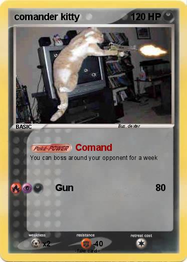 Pokemon comander kitty