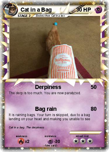 Pokemon Cat in a Bag