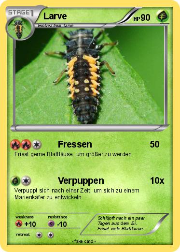 Pokemon Larve
