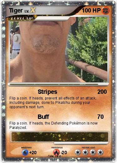 Pokemon Tiger