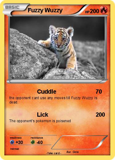 Pokemon Fuzzy Wuzzy