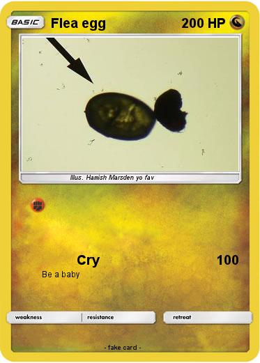 Pokemon Flea egg