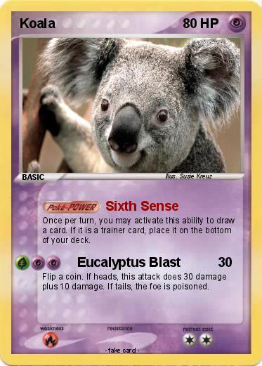 Pokemon Koala