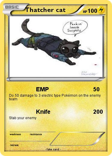 Pokemon Thatcher cat